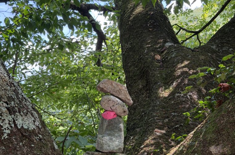 夏の新豊根ダムを訪ねる