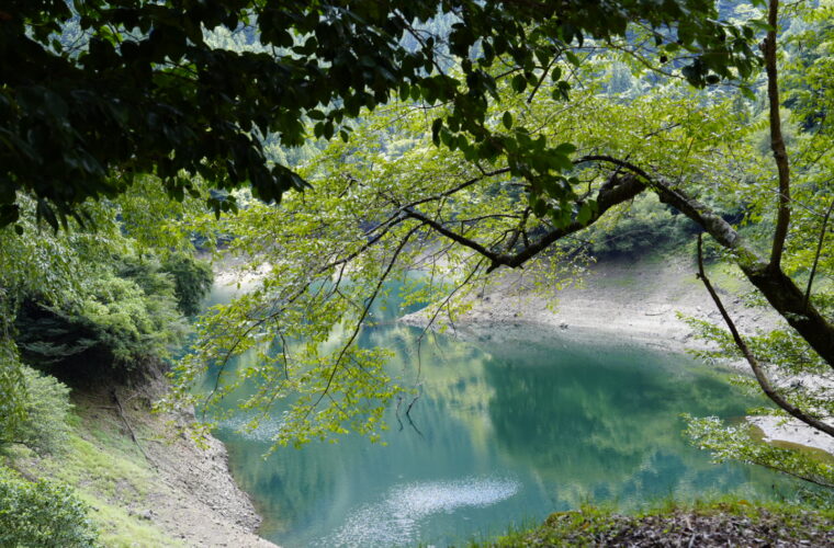 夏の新豊根ダムを訪ねる